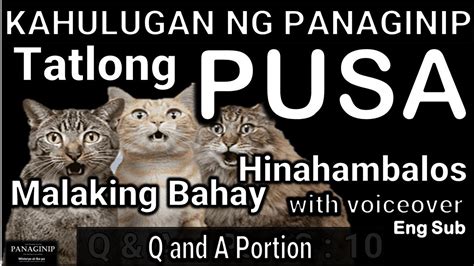 panaginip na pusa